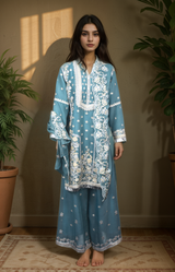 3 pcs Sharara with Embroidery and Sitara Work