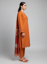 3 pcs suit with sensational jute and embroidered work