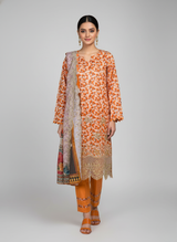3 pc embroidered lawn dress