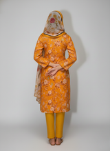 3 pc embroidered lawn dress