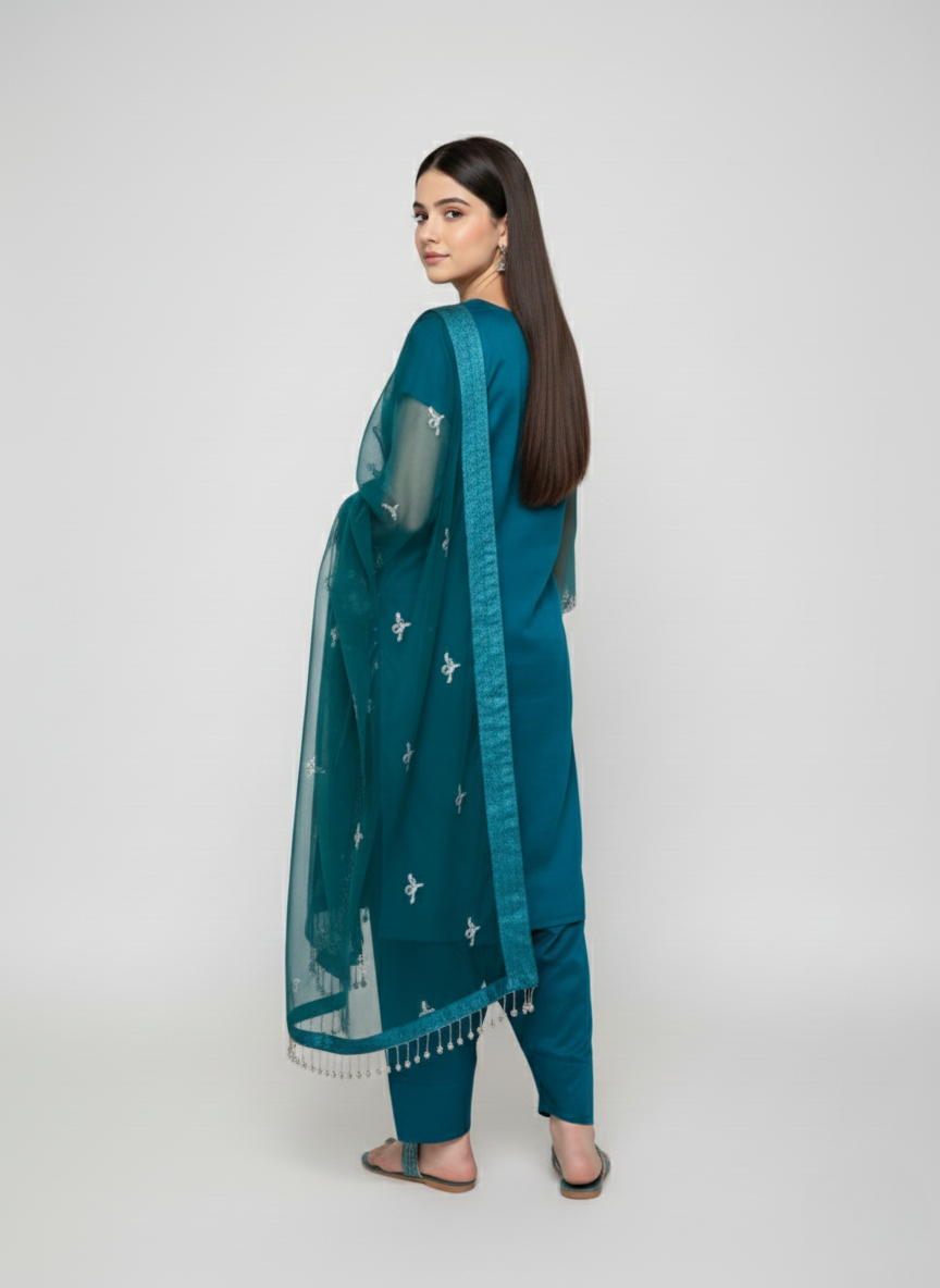 3 pcs soft organza with tilla and Sitara work