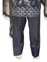 3 pcs soft organza with tilla and Sitara work