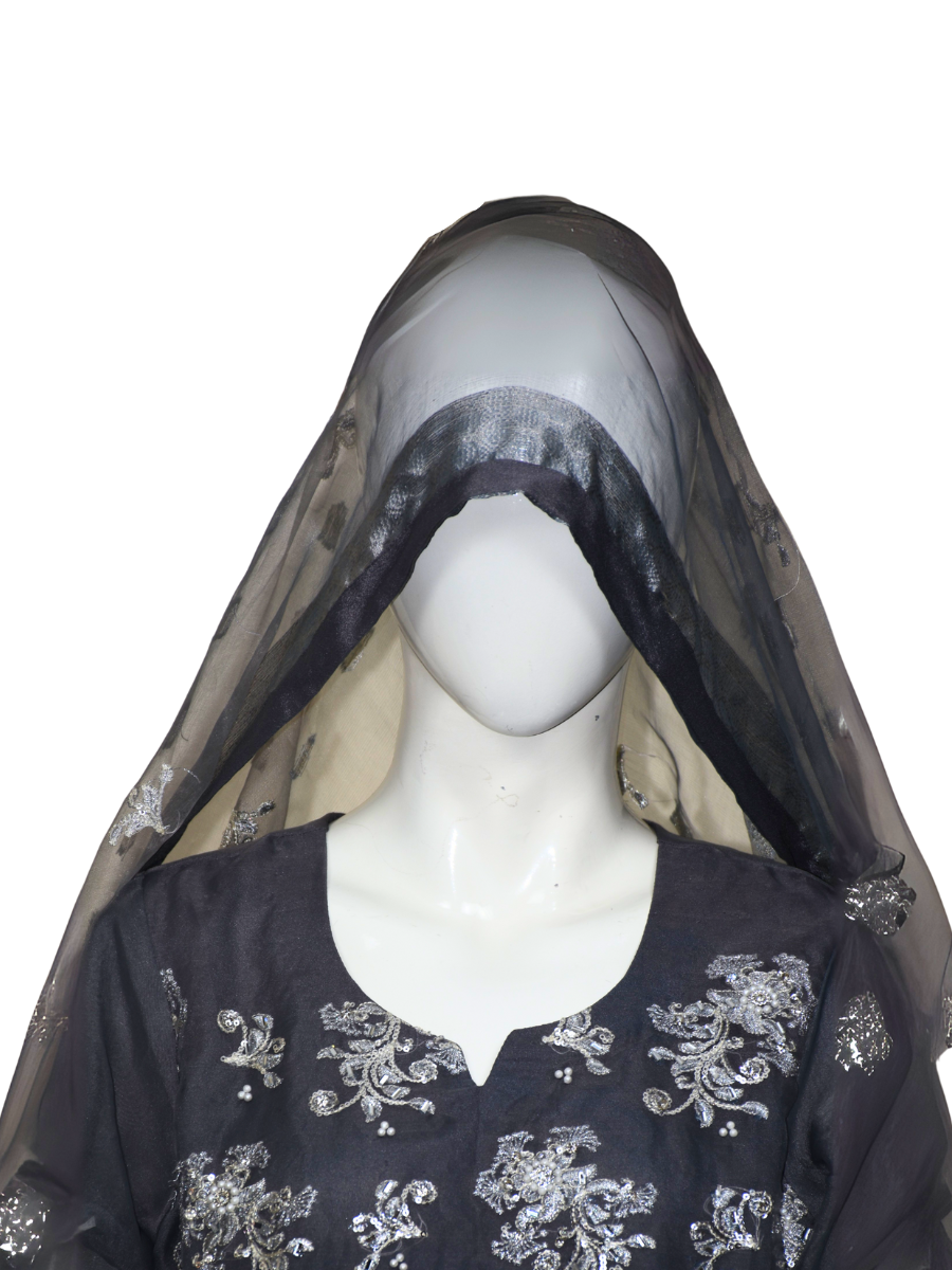 3 pcs soft organza with tilla and Sitara work