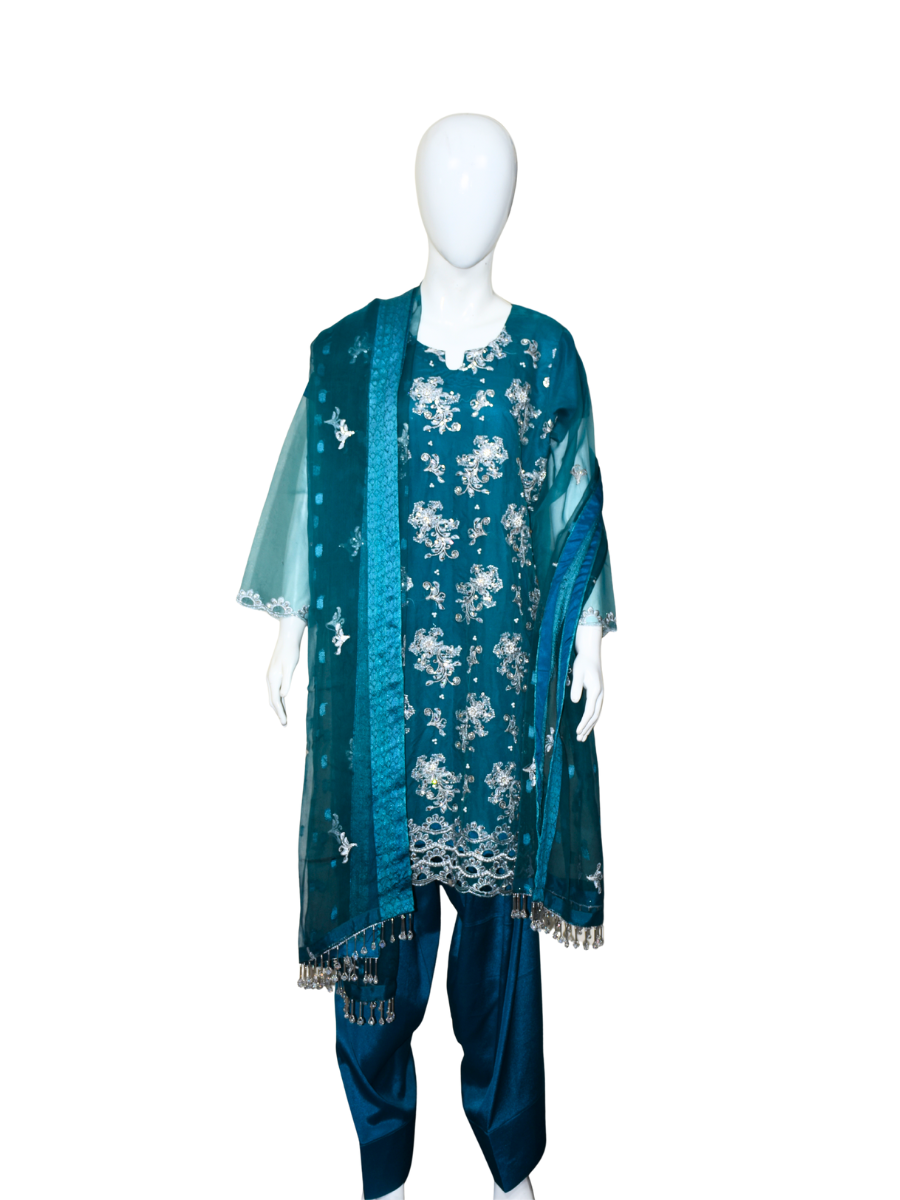 3 pcs soft organza with tilla and Sitara work