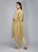 3 pcs soft organza with tilla and Sitara work