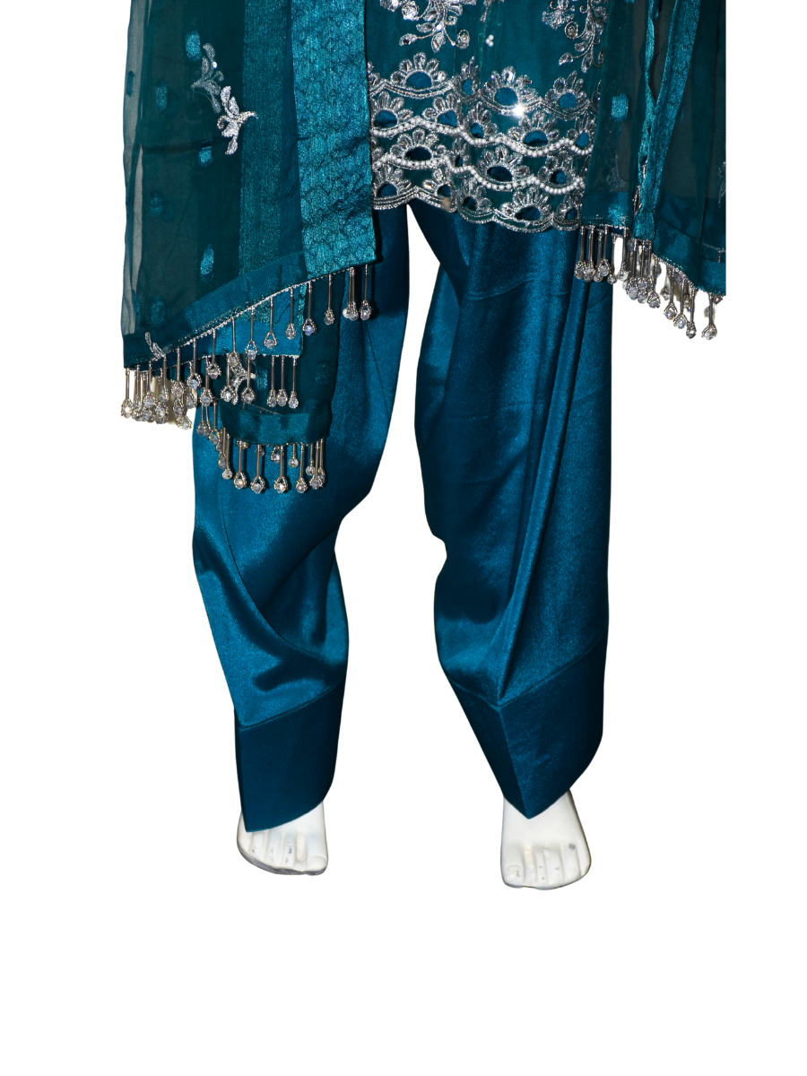 3 pcs soft organza with tilla and Sitara work