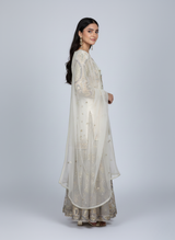 Soft Organza Lehnga with Tilla, Sitara and Thread Work