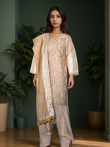 3 pcs Tilla and pearl work dress