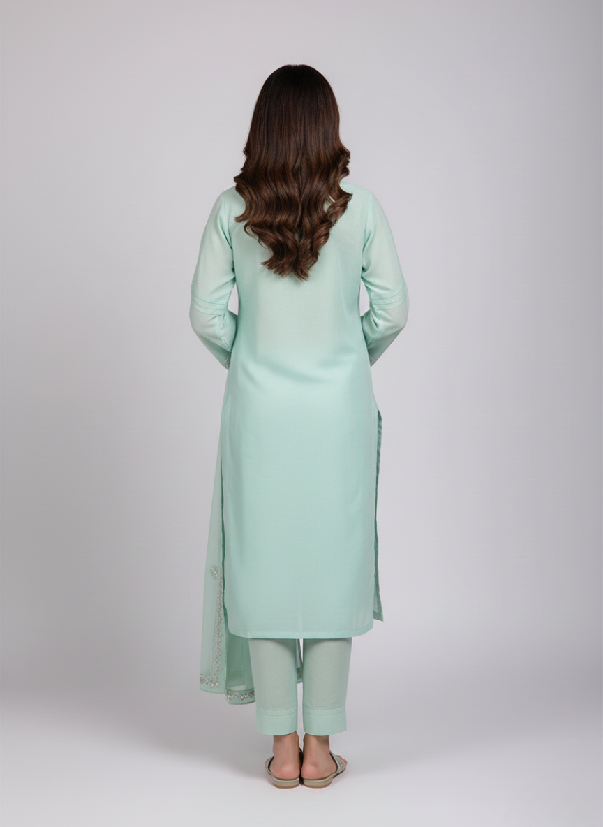 3pc Women Party Wear Agha Noor Sea Green