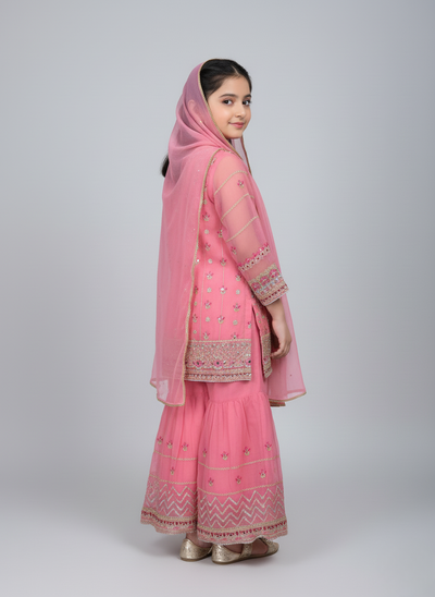 3 PC Girl Prty wear gharara dress