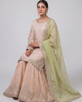 Women Party Wear D/Mother