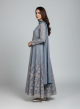Pakistani Party Wear Dresses in the USA