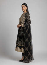 Pakistani Party Wear Dresses in the USA