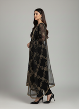 Pakistani Party Wear Dresses in the USA