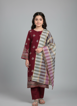 Casual wear cotton dress with embroidery