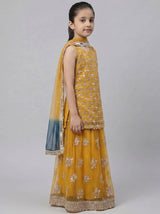 3 pc cotton net Sharara