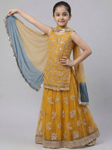 3 pc cotton net Sharara