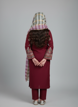 Casual wear cotton dress with embroidery