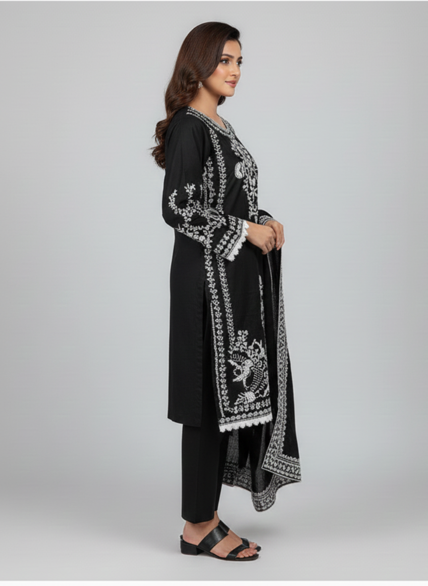 3 pcs Dhanak Dress with Embroidery