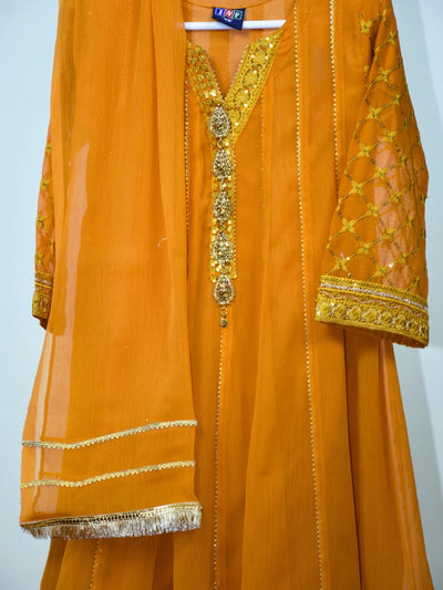 3 PC Girl Prty wear dress