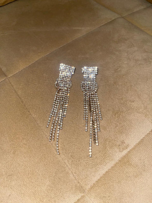 Silver Long Earrings