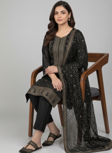 Pakistani Party wear in the USA