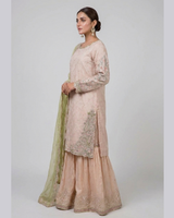 Women Party Wear D/Mother