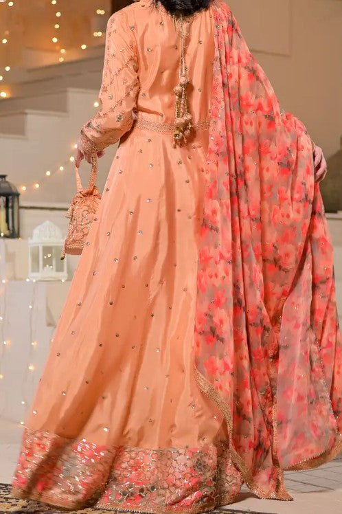 Women's Peach Embroidered Maxi Dress with Tissue Silk Dupatta